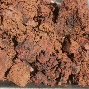 Mount Holly Red-Brown Natural Clay 10 lbs