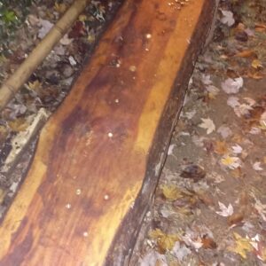 🪵 Heavy-Duty Custom Cedar & Oak Bench – $300 (NoDa)